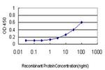 NODAL Antibody in ELISA (ELISA)