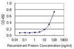 NOS3 Antibody in ELISA (ELISA)