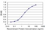 SLC11A2 Antibody in ELISA (ELISA)