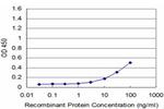 ROR2 Antibody in ELISA (ELISA)