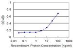 ROR2 Antibody in ELISA (ELISA)