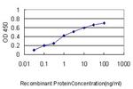 NUMA1 Antibody in ELISA (ELISA)