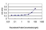 NR4A2 Antibody in ELISA (ELISA)