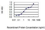 NR4A2 Antibody in ELISA (ELISA)