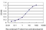 OTX1 Antibody in ELISA (ELISA)