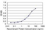 PAX7 Antibody in ELISA (ELISA)