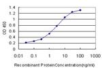 PCNA Antibody in ELISA (ELISA)