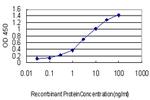 PDE3A Antibody in ELISA (ELISA)