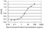 ENPP3 Antibody in ELISA (ELISA)