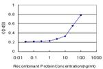 PHKG2 Antibody in ELISA (ELISA)