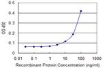 PIM1 Antibody in ELISA (ELISA)