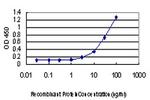 PIM1 Antibody in ELISA (ELISA)