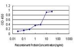 PIN1 Antibody in ELISA (ELISA)