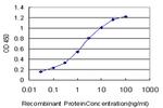 PITX1 Antibody in ELISA (ELISA)