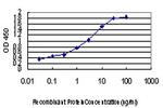 PLD2 Antibody in ELISA (ELISA)