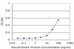 PLSCR1 Antibody in ELISA (ELISA)