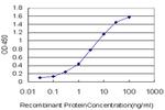 PMS1 Antibody in ELISA (ELISA)