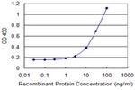 PMS2 Antibody in ELISA (ELISA)