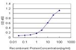 PNLIPRP2 Antibody in ELISA (ELISA)