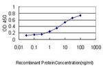 PPIA Antibody in ELISA (ELISA)