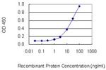 PPP4C Antibody in ELISA (ELISA)