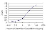 MAPK9 Antibody in ELISA (ELISA)