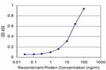 PROX1 Antibody in ELISA (ELISA)