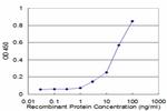 PSMB10 Antibody in ELISA (ELISA)