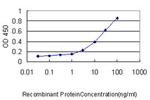 PSME2 Antibody in ELISA (ELISA)