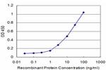 PTCH Antibody in ELISA (ELISA)