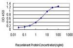 PTK2 Antibody in ELISA (ELISA)