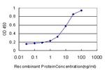 PTK7 Antibody in ELISA (ELISA)