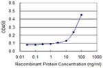 PURA Antibody in ELISA (ELISA)