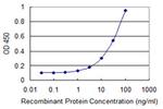 ABCD3 Antibody in ELISA (ELISA)