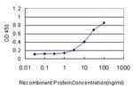 RAD51L3 Antibody in ELISA (ELISA)