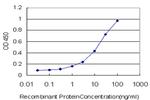 RARA Antibody in ELISA (ELISA)