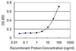 RBMY1A1 Antibody in ELISA (ELISA)