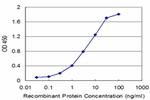 RCV1 Antibody in ELISA (ELISA)