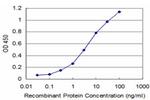 RCV1 Antibody in ELISA (ELISA)