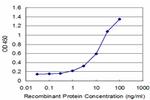 RET Antibody in ELISA (ELISA)