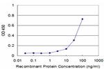 RHEB Antibody in ELISA (ELISA)