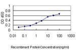 RLBP1 Antibody in ELISA (ELISA)