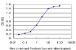 RNF2 Antibody in ELISA (ELISA)