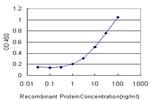 ROBO2 Antibody in ELISA (ELISA)