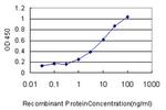 RPN1 Antibody in ELISA (ELISA)