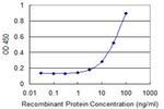 RPS8 Antibody in ELISA (ELISA)