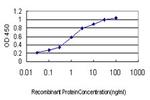 S100A6 Antibody in ELISA (ELISA)