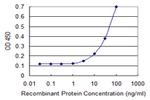 CCL2 Antibody in ELISA (ELISA)