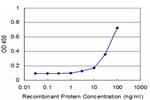 CXCL12 Antibody in ELISA (ELISA)