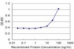 SIX1 Antibody in ELISA (ELISA)